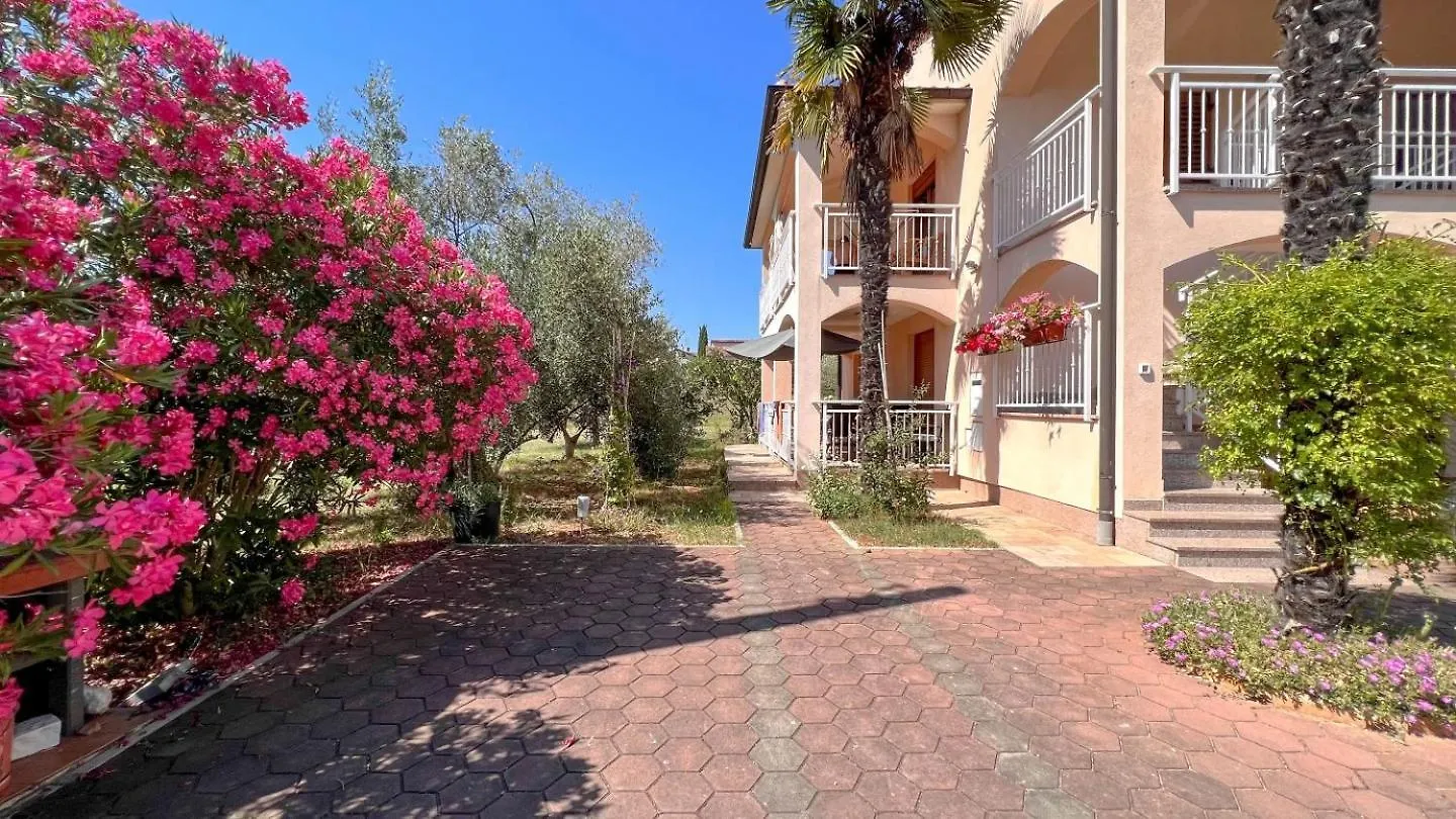 Viola One 0*, Novigrad (Istria) Croatia